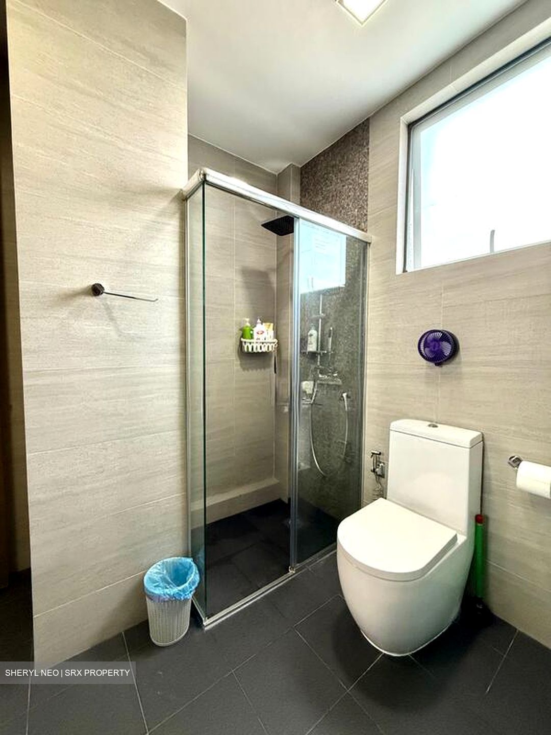 Parry Park (D19), Terrace #510291011